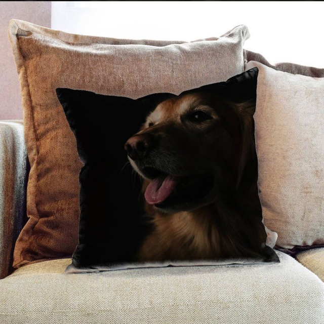 Golden Retriever Dog Animal Photography - Decorative Pillow Throw Cushion Fabric , Case Cover Or With Filling