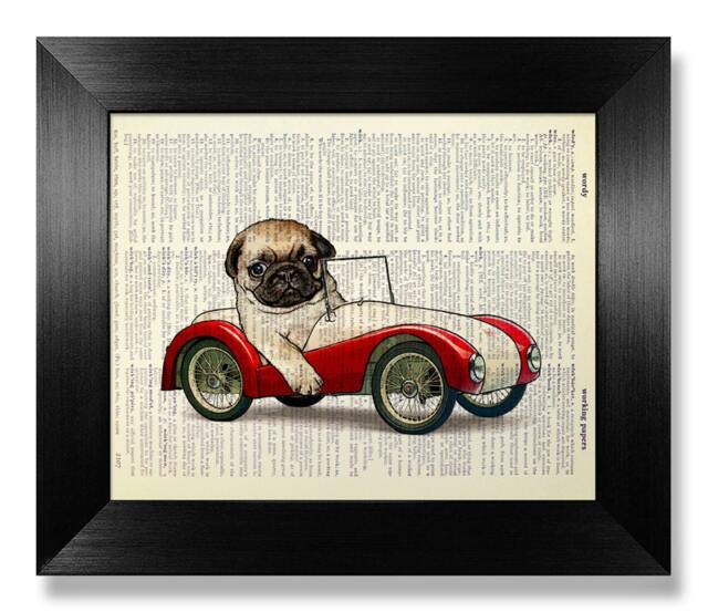 Cute Race Car Decor, Funny Art, Dog Print, Pug Cat Wall Poster, Poster