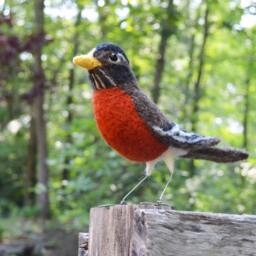 Mr. Or Mrs. American Robin, Needle Felted Bird Art Fiber Sculpture - thumbnail 3