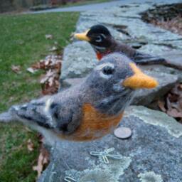 Mr. Or Mrs. American Robin, Needle Felted Bird Art Fiber Sculpture - thumbnail 1