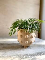 "Wood Planter Mid Century Modern ""Dots" - thumbnail 1