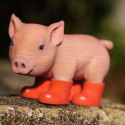 Piglet in Red Boots - thumbnail 4