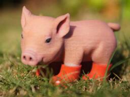 Piglet in Red Boots - thumbnail 1