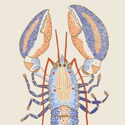Limited Edition Print Illustration Drawing, Blue Lobster, Kitchen Wall Art, Foodie - thumbnail 3