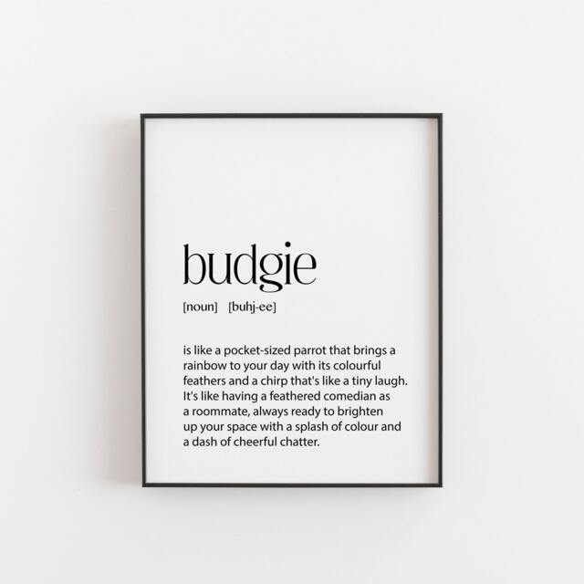 Budgie Wall Art - Funny Bird Print Lover Gift Pet Parrot Decor Minimalist Definition Colourful Home Poster - image 1