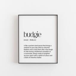 Budgie Wall Art - Funny Bird Print Lover Gift Pet Parrot Decor Minimalist Definition Colourful Home Poster - thumbnail 1