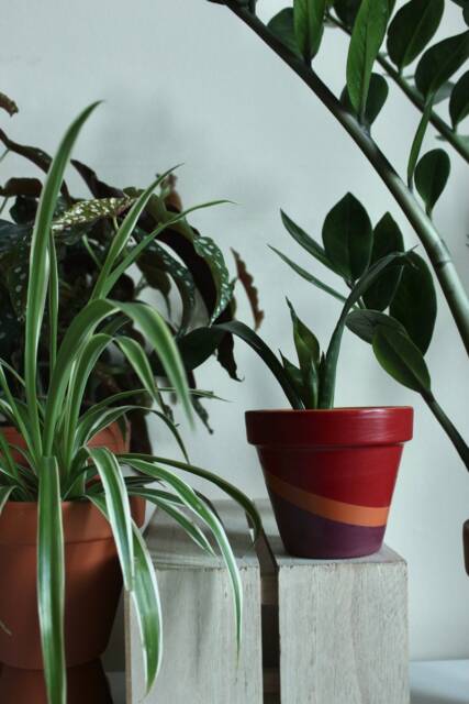 Hand Painted Terracotta Plant Pot With Drainage Customisable Colours & Size Optional Saucers - image 1