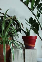 Hand Painted Terracotta Plant Pot With Drainage Customisable Colours & Size Optional Saucers - thumbnail 1