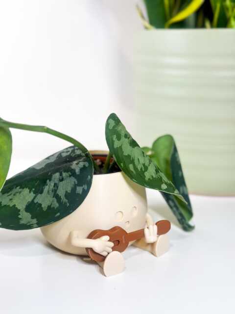 Happy Face Guitar Planter Guitarist Gift, Music Lover Band Gift - Fun Modern Home Decor - image 1