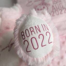 Personalised Pink Baby Girl Teddy Blanket - Newborn Gift Nursery Decor Name Reveal New Hospital Bag Hello World -New Mum - thumbnail 3