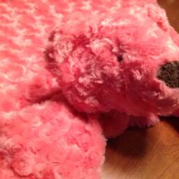 Security Animal Blanket - thumbnail 2
