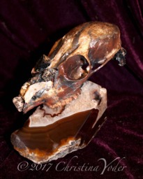 Deer Fawn Skull With Onyx, Jasper & Gemstone Accents