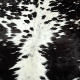 Genuine Cowhide Area Rug - Black & White Spotted Real Cow Skin - thumbnail 2