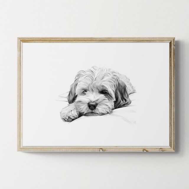 Sleeping Lhasa Apso Print, Dog Vintage Sketch, Farmhouse Decor, Gifts - image 1