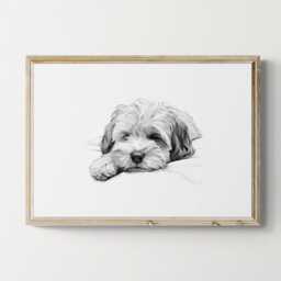 Sleeping Lhasa Apso Print, Dog Vintage Sketch, Farmhouse Decor, Gifts - thumbnail 1
