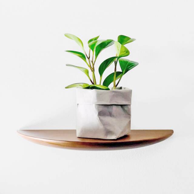 Curved Floating Wood Shelf/Handcrafted Solid Shelves Unique Wall Wooden Mounted Modern Home Decor - image 1
