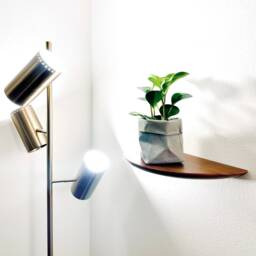 Curved Floating Wood Shelf/Handcrafted Solid Shelves Unique Wall Wooden Mounted Modern Home Decor - thumbnail 3