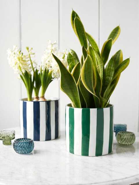 stripe Glazed Plant Pot - image 1
