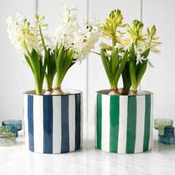 stripe Glazed Plant Pot - thumbnail 2