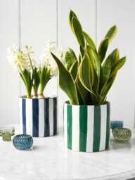 stripe Glazed Plant Pot - thumbnail 1