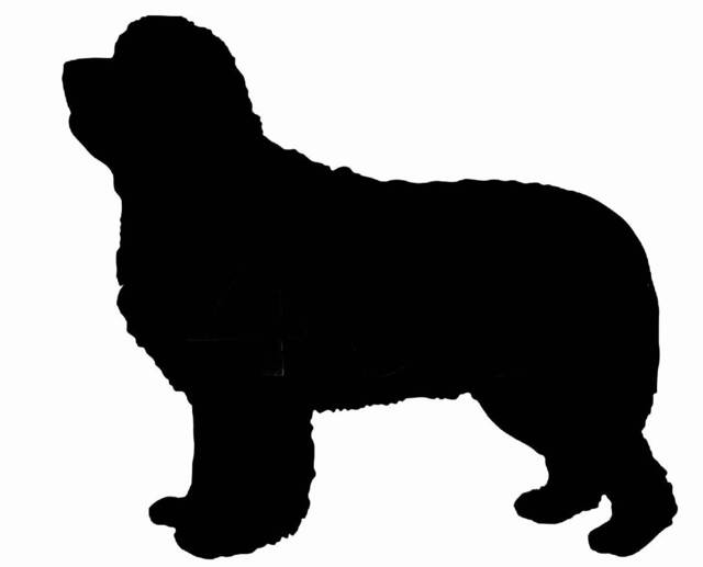 Newfoundland Dog Wall Art Kennel Plaque Sign in Black Acrylic