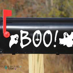 Boo Ghost Door Decal, Halloween Decor, Front Sticker, Holiday Wall Decal, Pumpkin Entryway Or Mailbox Sticker - thumbnail 3