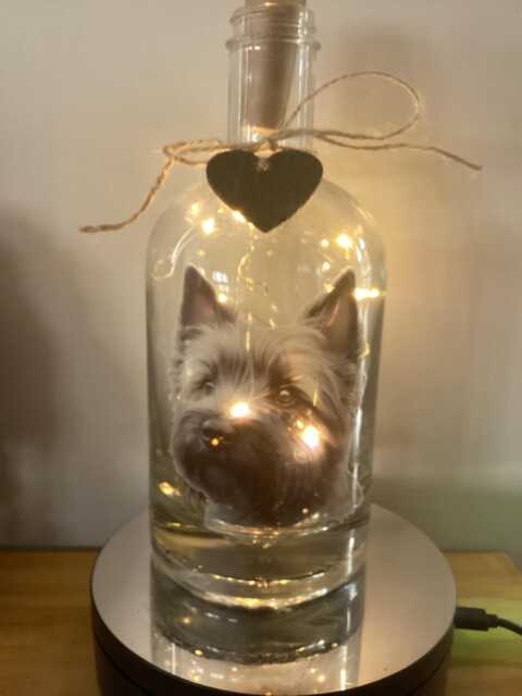 Personalised Cairn Terrier Dog Light Up Bottle, Bottle Lamp With Gift Messaging Service & Bag