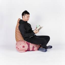 Fallen Ice Cream Beanbag - Phone Number Must Be Included For Purchase