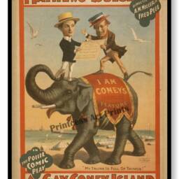 Vintage Gay New York Coney Island Play Drama Show Set Of 3 Prints - thumbnail 3