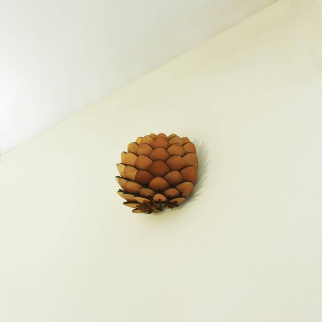 Wooden Wall Light - image 1