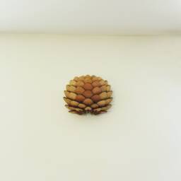 Wooden Wall Light - thumbnail 2
