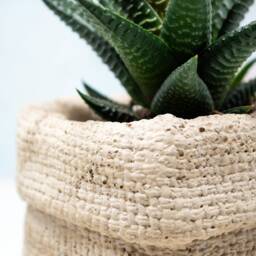 Paper Bag Plant Pot Cast in Concrete - thumbnail 3