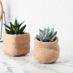 Paper Bag Plant Pot Cast in Concrete - thumbnail 2