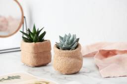 Paper Bag Plant Pot Cast in Concrete