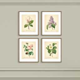 Vintage Botanical Prints - Set Of 4 Prints Rose Magnolia Lilac Camellia Neutral Decor Art Botanical Vintage - thumbnail 3