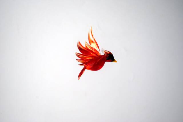 E36-350 Large Cardinal - image 1