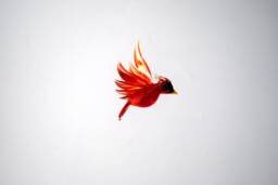 E36-350 Large Cardinal