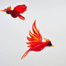 E36-350 Large Cardinal - thumbnail 4