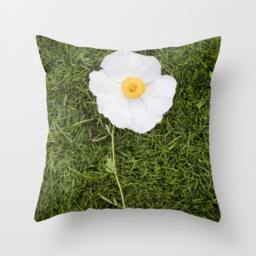 Flower Pillow Case - Nature Cover Poppy Yellow & White 16x16 18x18 20x20 - thumbnail 1
