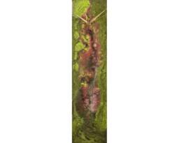 Green & Gold Unique Wall Clock Kitchen Decor, Unusual Office For Desktop Or Mantle, Tall Slim 24 Inch Modern - thumbnail 1