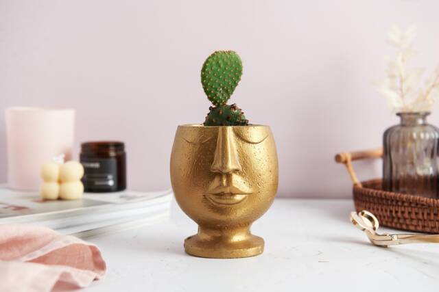 Nordic Style 3D Face Concrete Planter - image 1