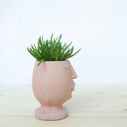 Nordic Style 3D Face Concrete Planter - thumbnail 3