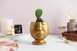 Nordic Style 3D Face Concrete Planter - thumbnail 1