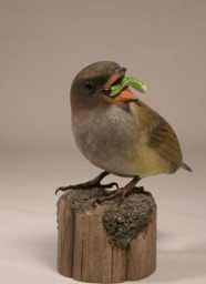 Baby House Sparrow Hand Carved Wooden Bird