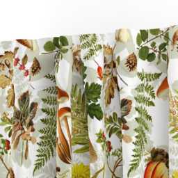Mushrooms Curtain Panel - Ferns Forage Dandelion Pine Fungi Nature Custom Thanksgiving in The Forest By Utart - thumbnail 3