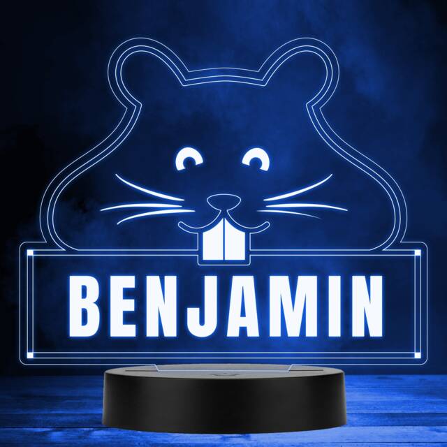 Hamster Teeth Whiskers Colour Changing Personalised Gift Led Lamp Night Light - Bedroom - image 1