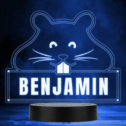 Hamster Teeth Whiskers Colour Changing Personalised Gift Led Lamp Night Light - Bedroom