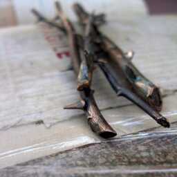 Bronze Rose Stem Sculpture Symbol Of Enduring Love - Single By Ink Jewelry - thumbnail 2