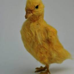 Needle Felted Bird Yellow Easter Duckling Soft Sculpture. Made To Custom Order - thumbnail 2