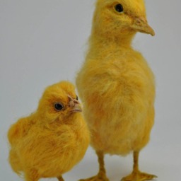 Needle Felted Bird Yellow Easter Duckling Soft Sculpture. Made To Custom Order - thumbnail 4